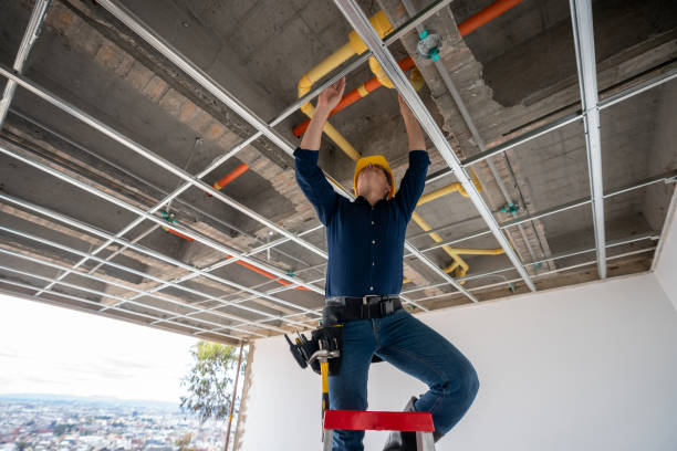 Best Plumbing Inspection Services  in Liolnton, NC